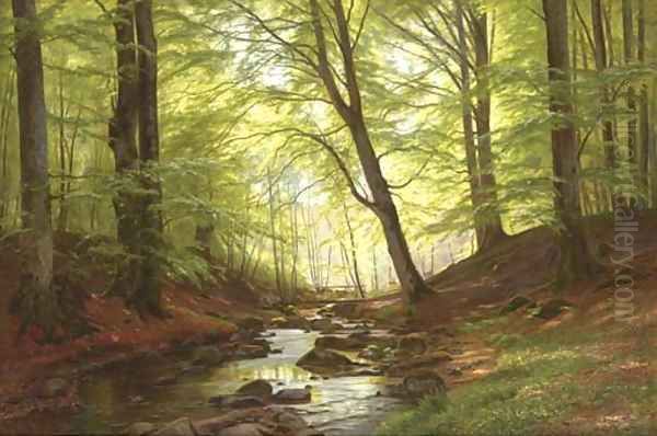 A Stream in a Forest - view 1