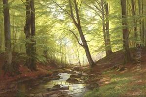 A Stream in a Forest by Christian Zacho