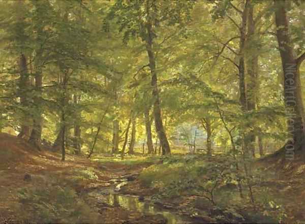 The sunlit glade - view 1