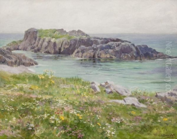 West Coast Seascape - view 1