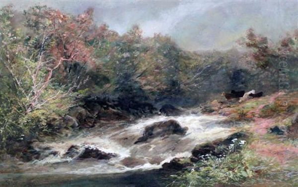 Cattle Beside A Stream - view 1