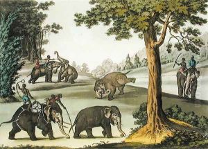 Capturing Elephants in Burma, plate 76 from Le Costume Ancien et Moderne by Jules Ferrario, published c.1820s-30s