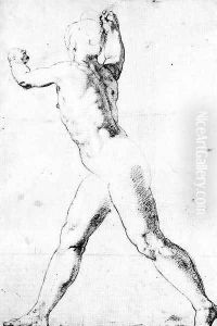 Study of a Male Nude