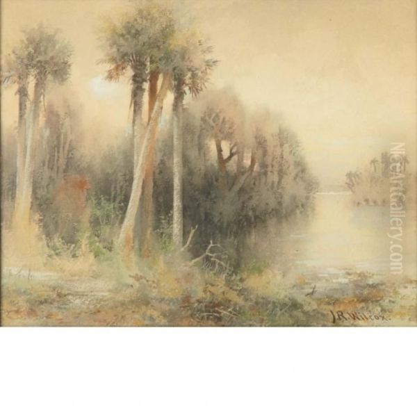 Florida Swampscape - view 1