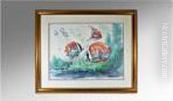 Tropical Fish 6 - view 1
