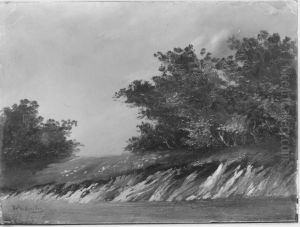 Landschaft Landschaft