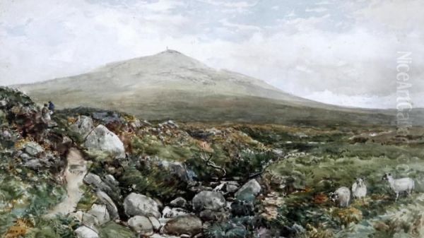 Extensive Landscape - view 1