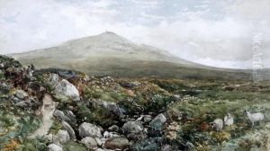 Extensive Landscape Extensive Landscape