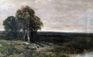 Flock Of Sheep In A Moorland Landscape With Trees To Left Foreground by Edmund Morison Wimperis