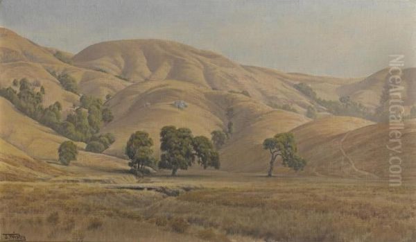 Rolling California Hills In Summer - view 1