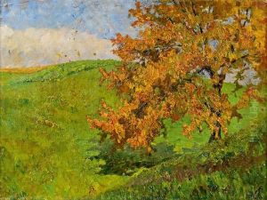 Baum In Herbstlichem Licht