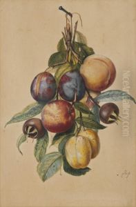 Still Life With Plums, White Plums, Peaches And Medlars Still Life With Plums, White Plums, Peaches And Medlars