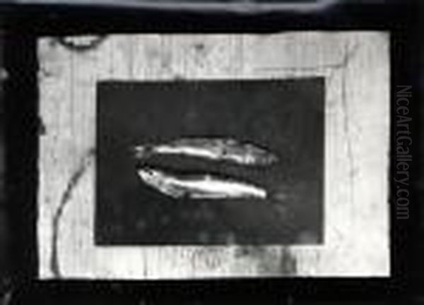 Fischstillleben - view 1