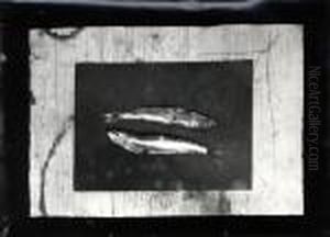 Fischstillleben Fischstillleben