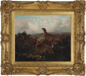 Home Of The Grouse by William Arnold Woodhouse