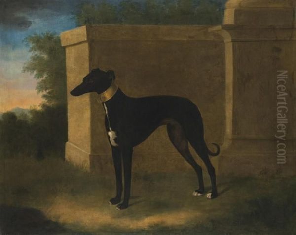 Portrait Of A Greyhound, Called Pompon - view 1