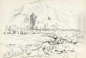 Pre Ensoleille - Rayon De Soleil Sur Paysage Hollandais by Rik Wouters
