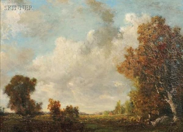 Meadow With Clouds And Sun - view 1