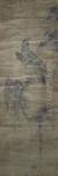 An Eagle Perched On A Pine Branch - view 1