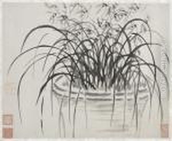 Orchideen - view 1