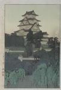 Himyi Castle Evening Himyi Castle Evening
