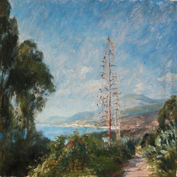 Summer Day With A View Towards A Southern Coast - view 1