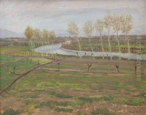 Fiume Oglio Nella Pianura Fiume Oglio Nella Pianura