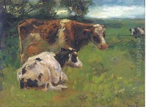 Cows in a meadow Cows in a meadow
