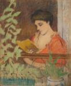 Giovane Donna In Lettura