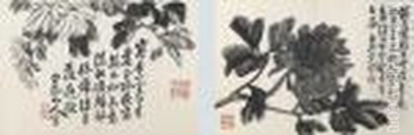 Various Subjects - view 1