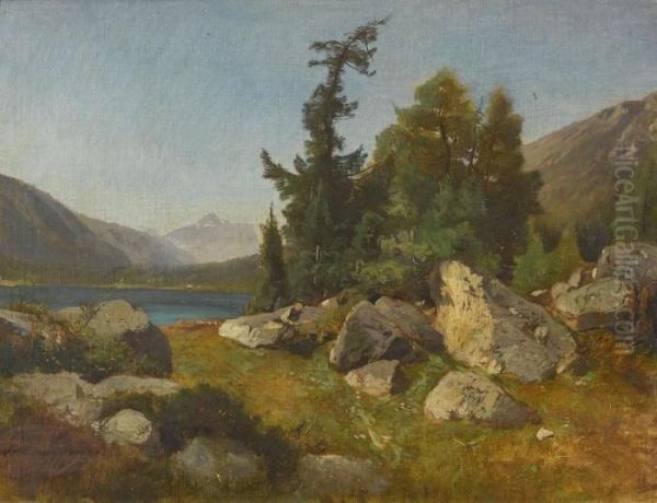 Sommerlicher Bergsee Mit Bauer - view 1