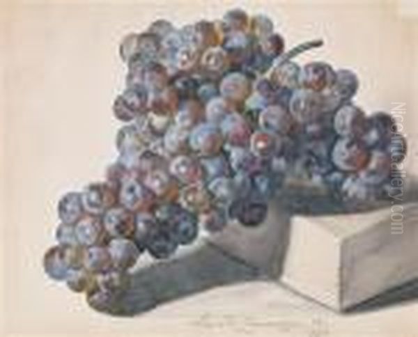 Dark Grape - view 1