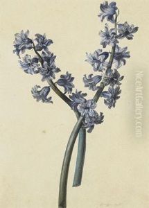 Glockenblume by Leopold Zinnogger
