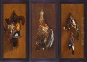 Jagdstilleben Mit Diversen Vogeln Und Einem Iltis An Einer Holzwand Hangend by Leopold Zinnogger