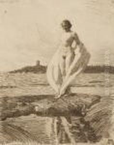 Svanen by Anders Zorn