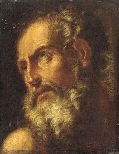 An old man, head and shoulders by Antonio Zanchi