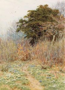 In A Spring Copse: 'here The White-rayed Anemone Is Born'