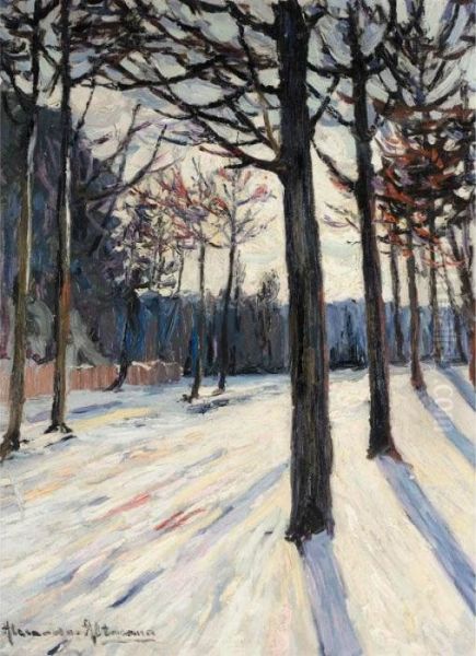 Trees In Snow - view 1