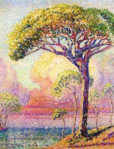 A Pine Tree