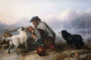 The Sick Lamb, 1853 by Richard Ansdell