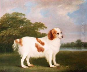 Spaniel in a Landscape, 1789