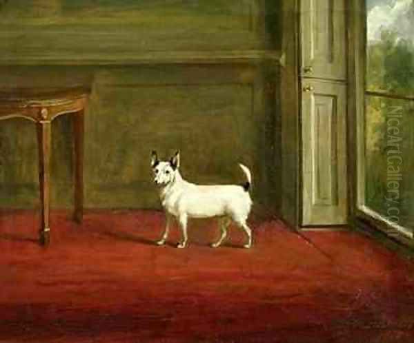 Portrait of a Jack Russell Terrier in Regency Interior - view 1