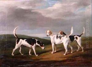 Foxhounds in a Landscape by William Henry Davis