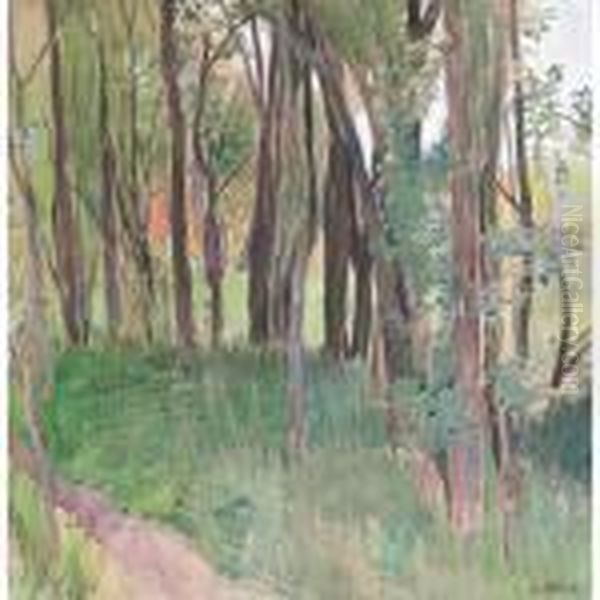 Arbres Au Printemps A Saviese - view 1