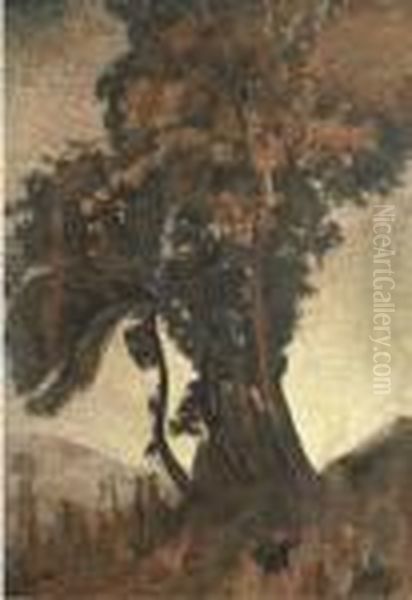 Arbre Saviese - view 1