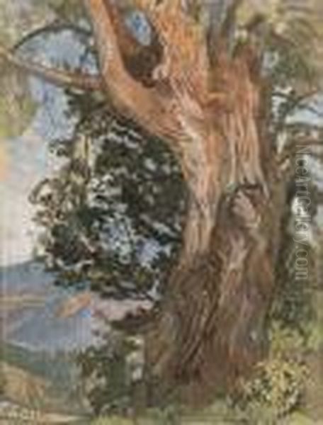 Arbre - view 1