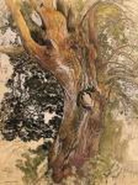 Arbre - view 1