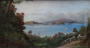 Auckland Harbour From Parnell Rose Gardens