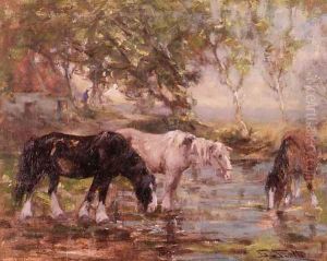Horses at a Pool