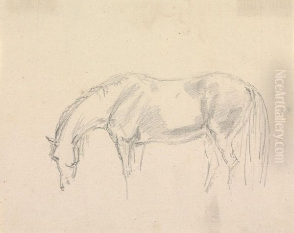 A horse grazing - view 1